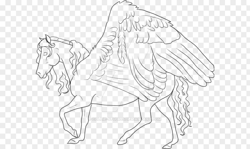 Horse Line Art Drawing Pegasus PNG