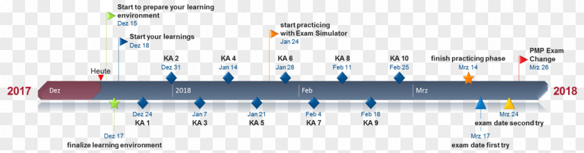 Project Management Body Of Knowledge Professional Program PNG