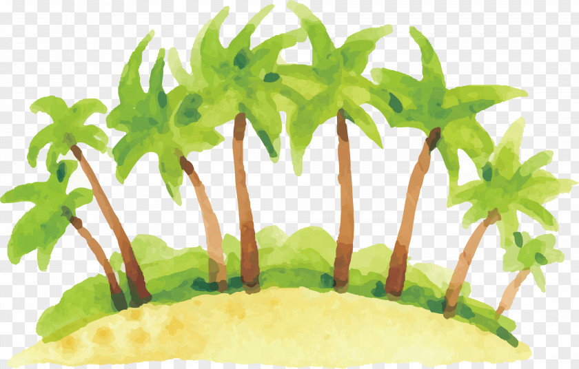 Watercolor Coconut Forest Illustration PNG