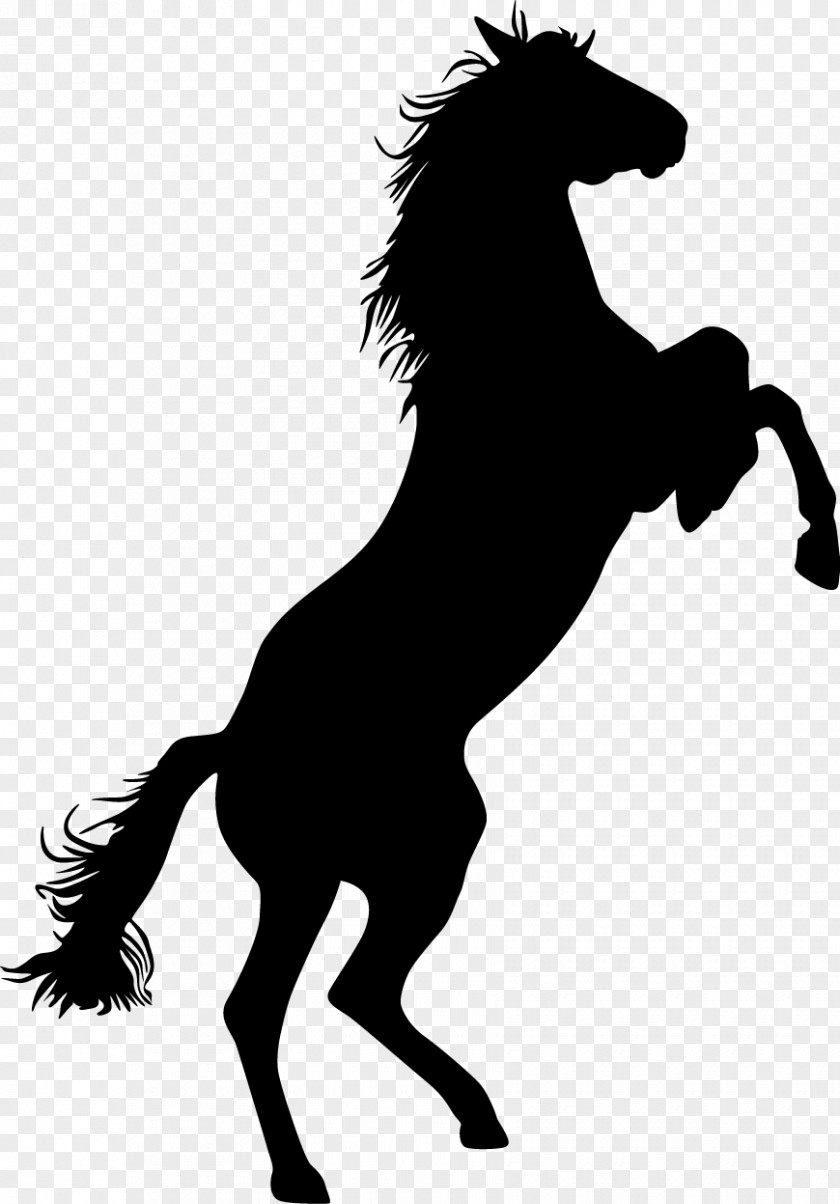 Bison Mustang Standing Horse Bronco Equestrian Clip Art PNG