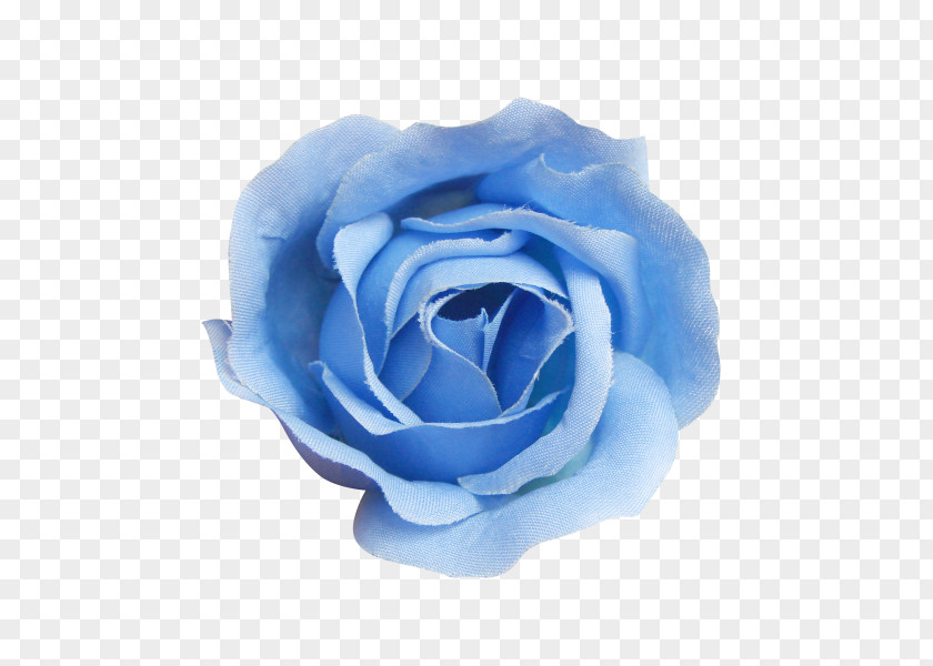 Blue Rose Beach Centifolia Roses PNG