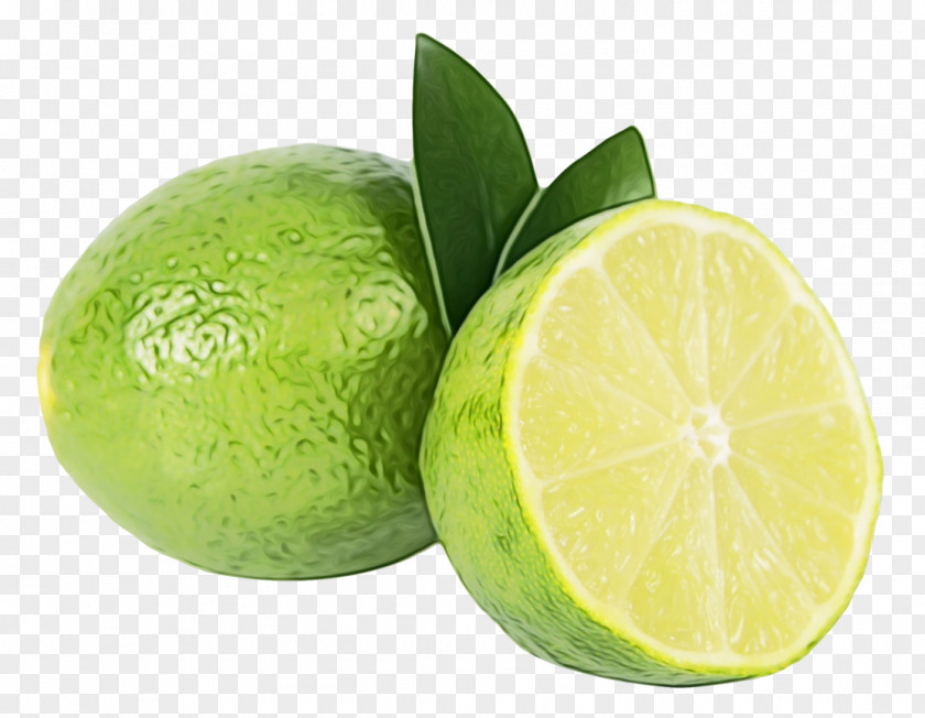 Food Plant Persian Lime Key Citrus Sweet Lemon PNG