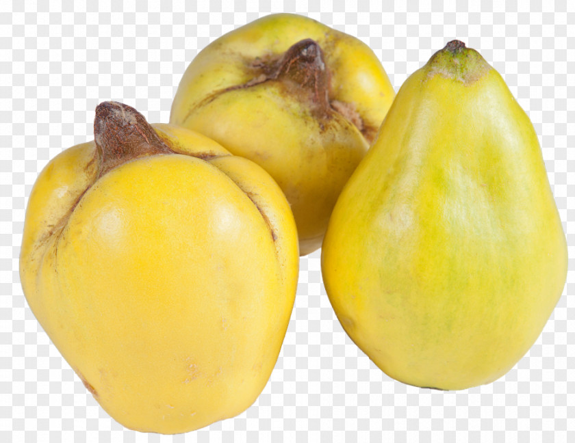Lemon Quince Fruit Clip Art PNG