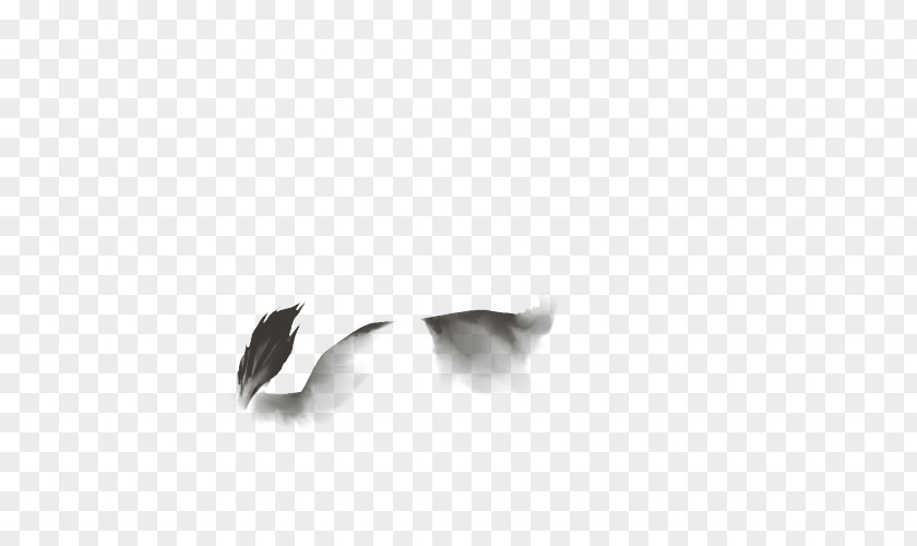 Lion Black And White Feather Product Design Beak Font PNG