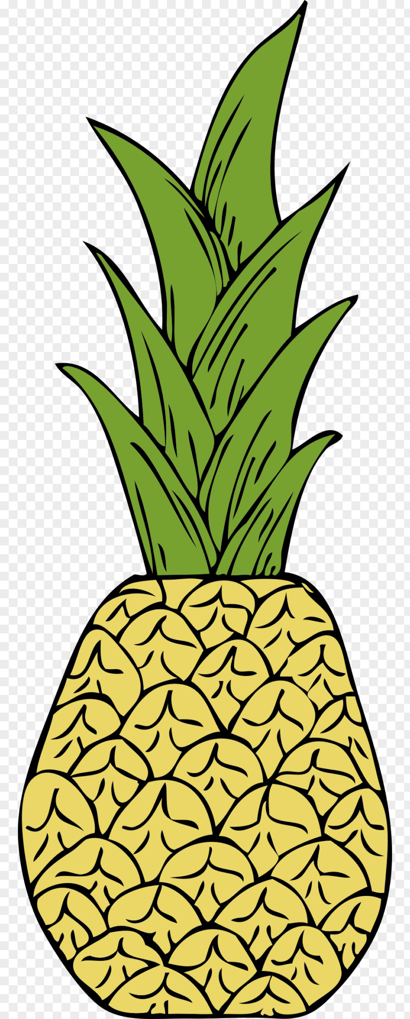 Pineapple Fruit Clip Art PNG