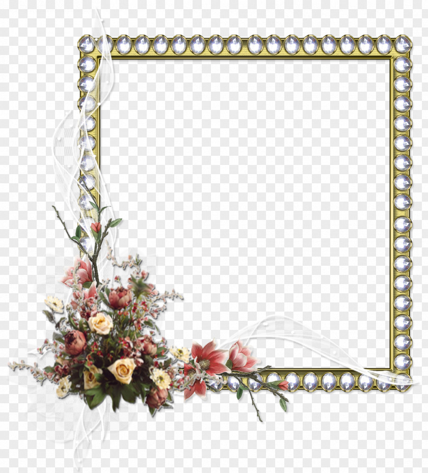 Red Frame Picture Frames PhotoScape Flower PNG