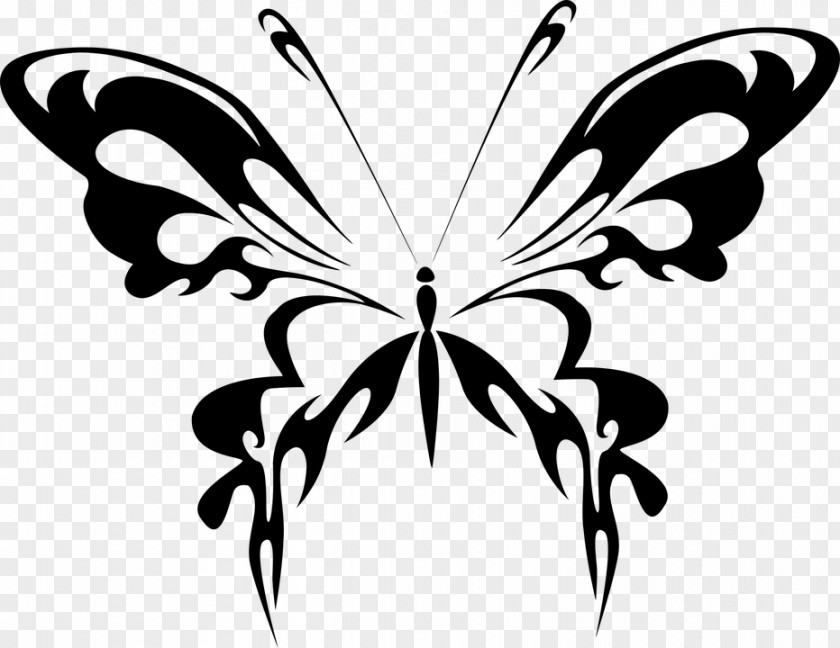 Abstrak Butterfly Insect Clip Art PNG