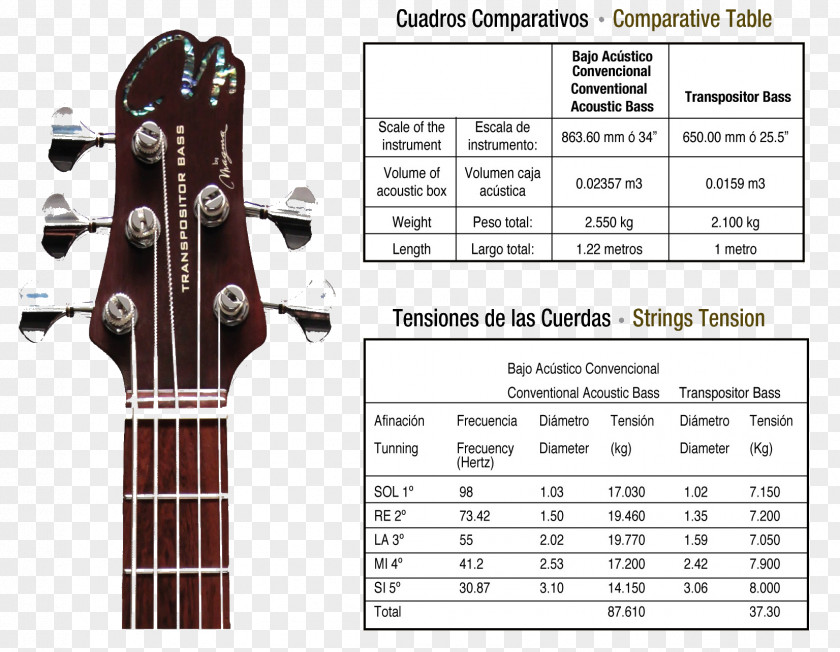 Bass Guitar Acoustic Acoustic-electric String Instruments PNG