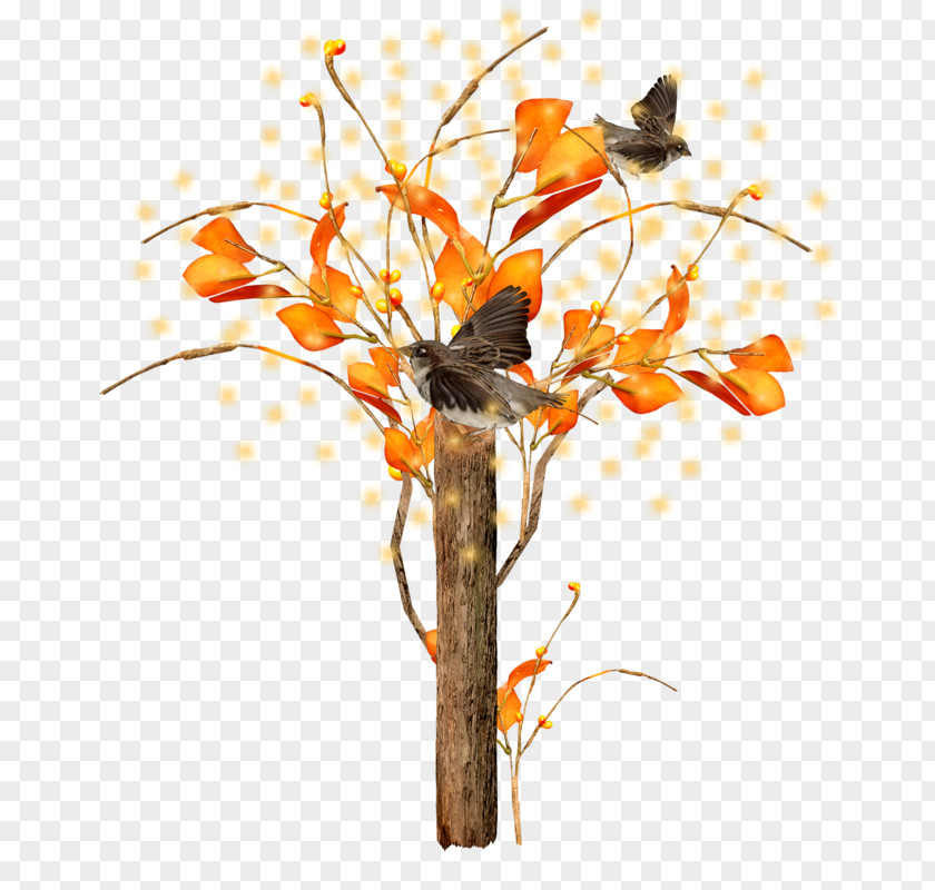 Bird Tree Floral Design Clip Art PNG