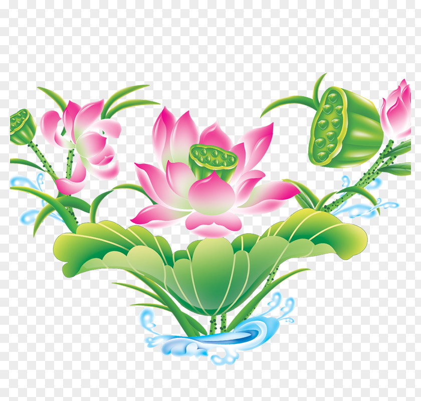 Creative Flower,Lotus Flower Download Clip Art PNG