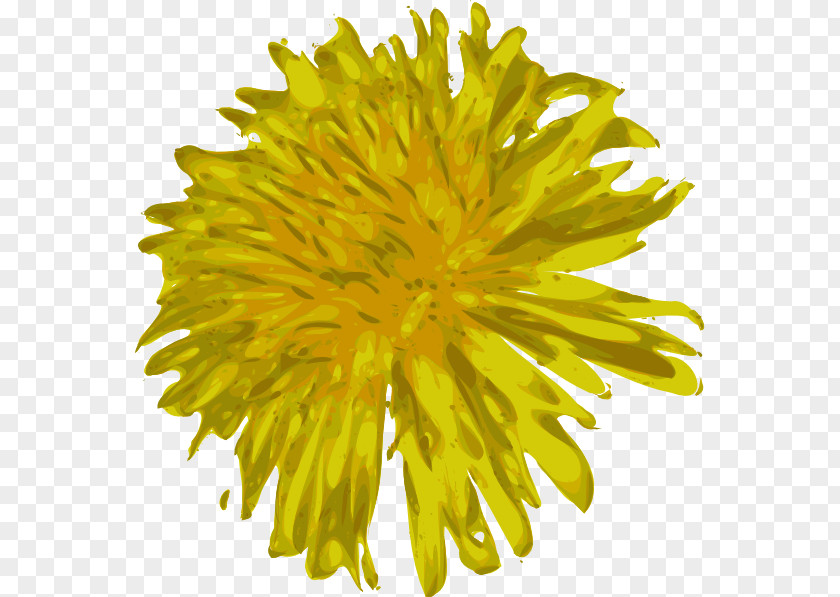 Dandelion Common Yellow Flower Clip Art PNG