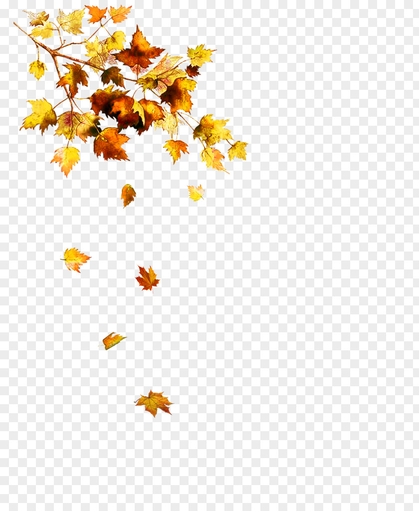 Leaf Autumn Image Clip Art PNG
