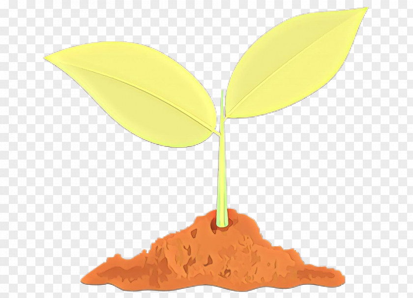 Maidenhair Tree Soil Orange PNG