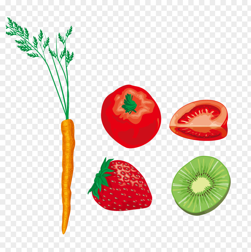 Vector Carrot Strawberry Food Gastronomy Auglis Illustration PNG