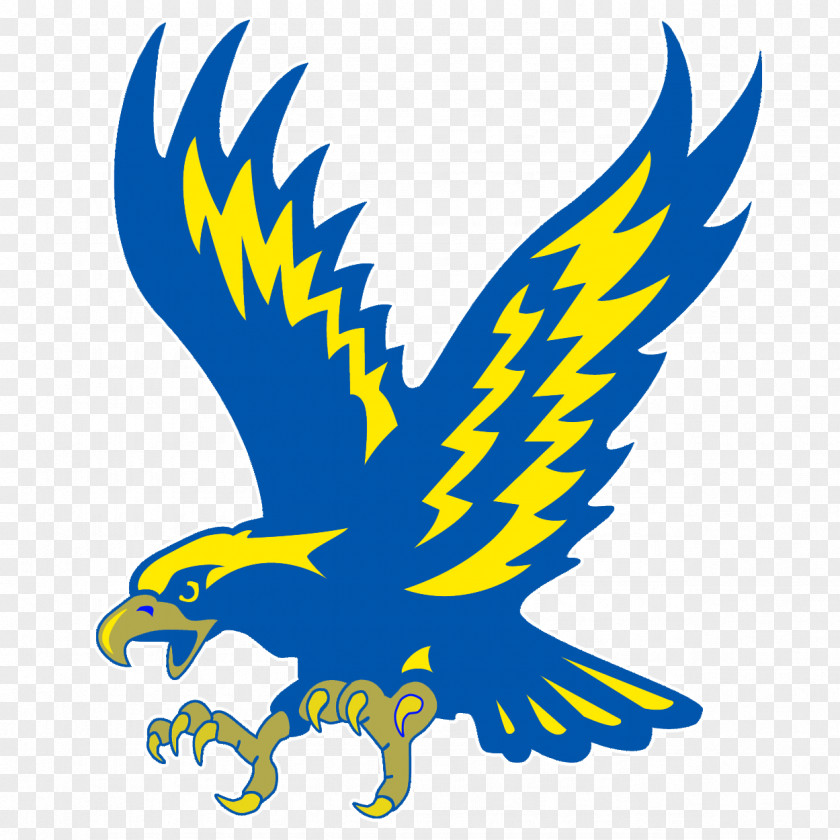 American Eagle Manchester Metropolitan University Minnesota Philadelphia Eagles Atlanta Falcons Lincoln Colonials PNG