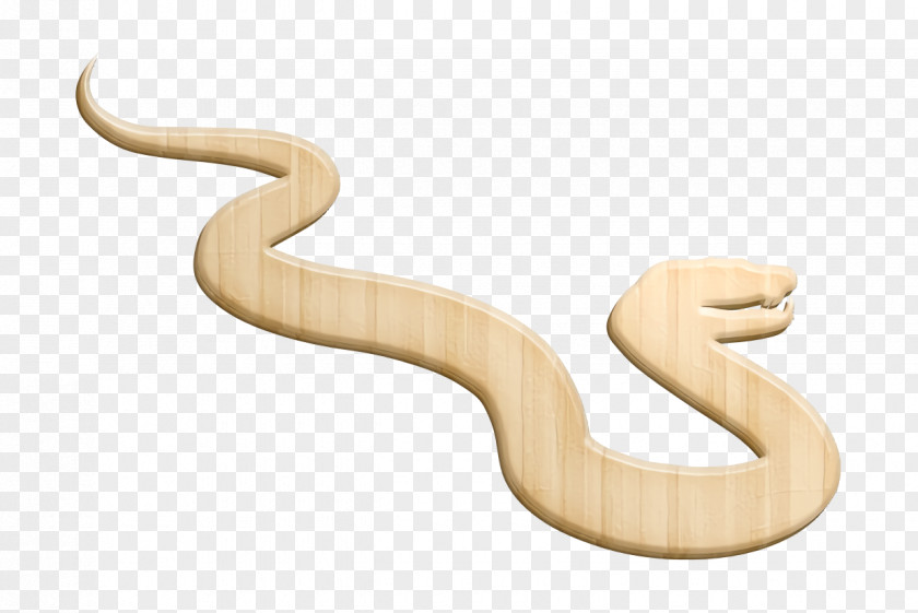 Animal Kingdom Icon Animals Snake PNG