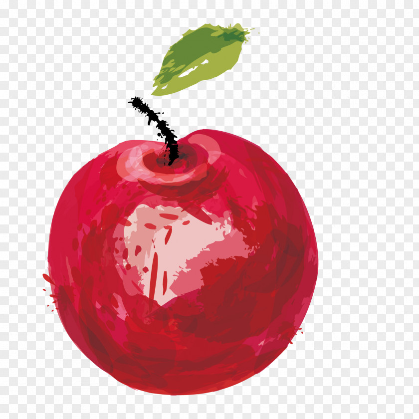 Apple Watercolor Painting Vector Graphics Image Download PNG