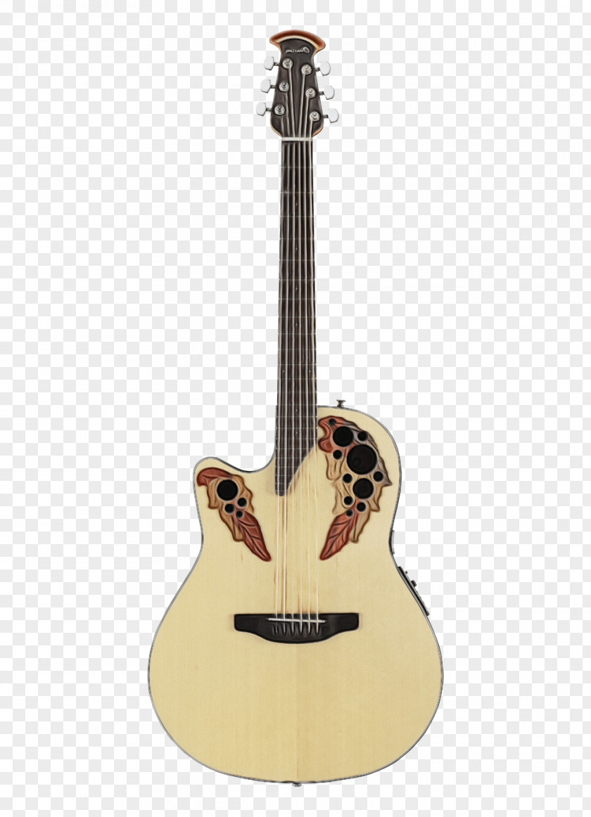 Bass Guitar Acousticelectric PNG