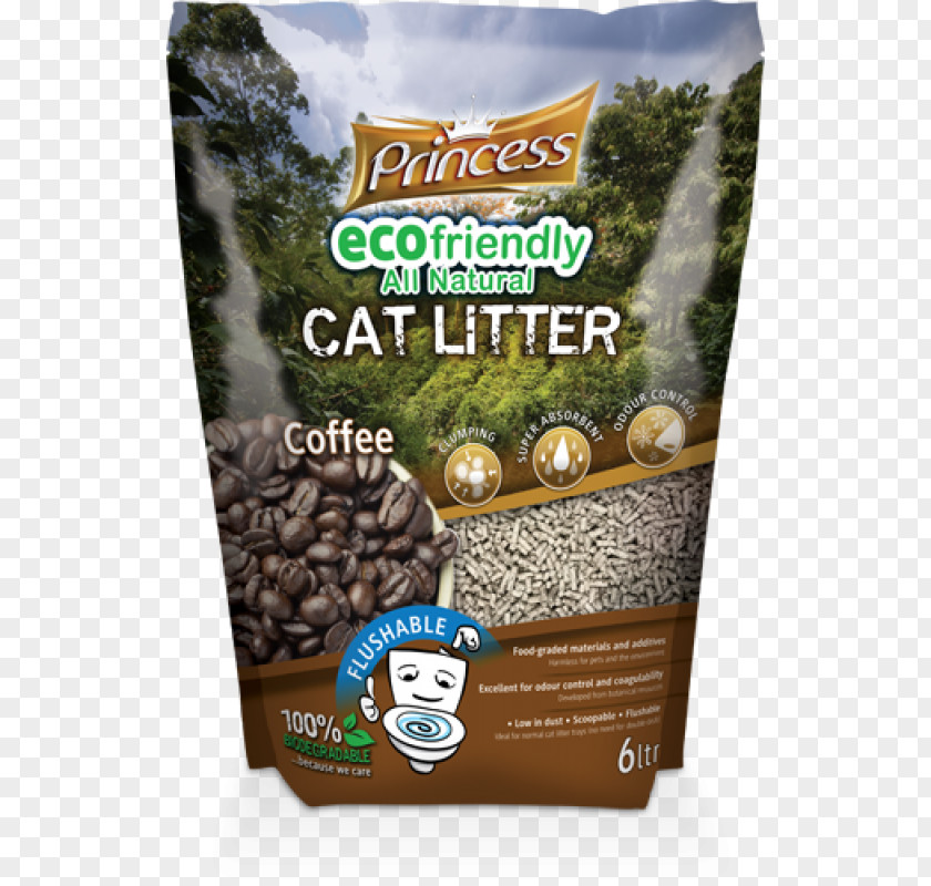 Cat Bedding Flavor Coffee Biology PNG