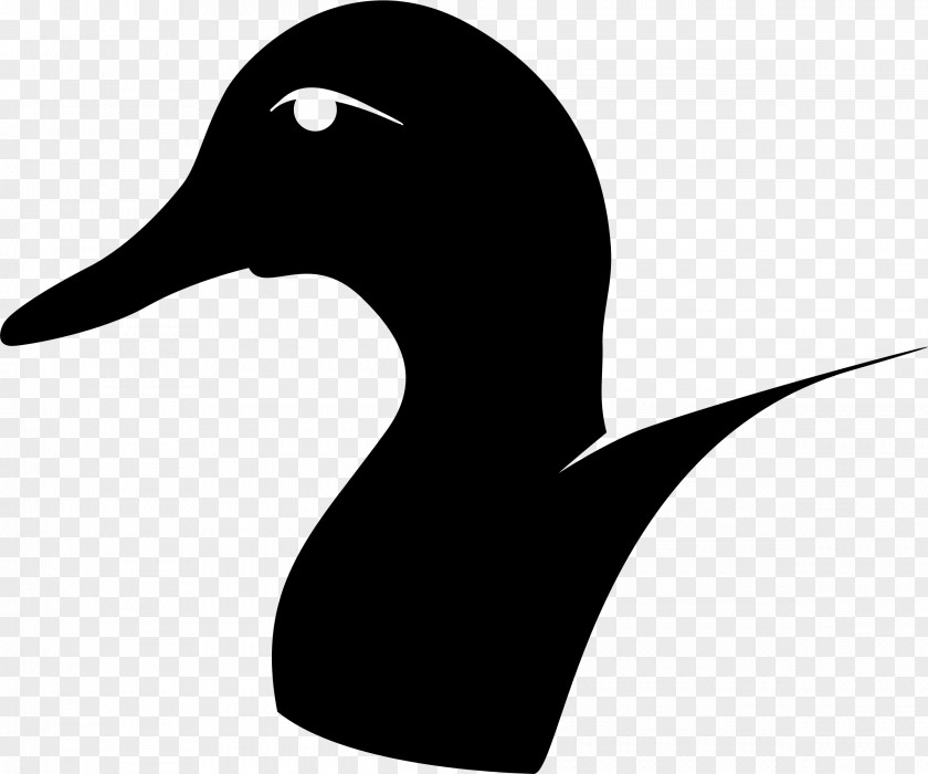 Duck American Pekin Bird Goose Mallard PNG