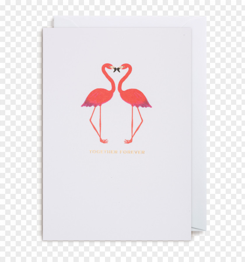 Greeting Cards Decoration Illustration Material Flamingo Bird Valentine's Day United Kingdom Gift PNG