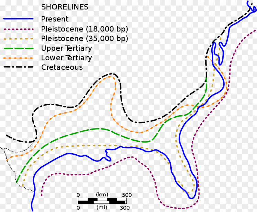 Line Diagram Point Animal PNG