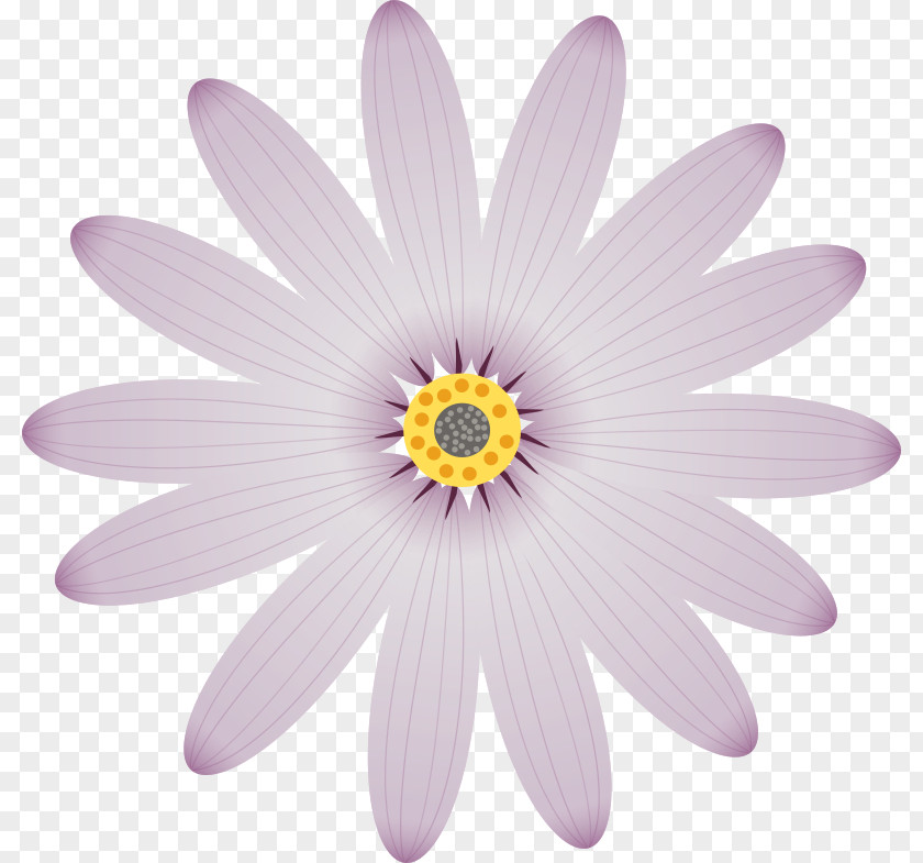 Open Flowers Petal Flower Clip Art PNG