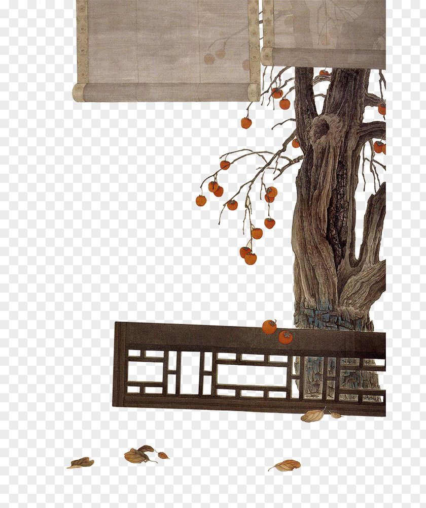 Persimmon Tree Material China Chinese Painting Gongbi Painter PNG
