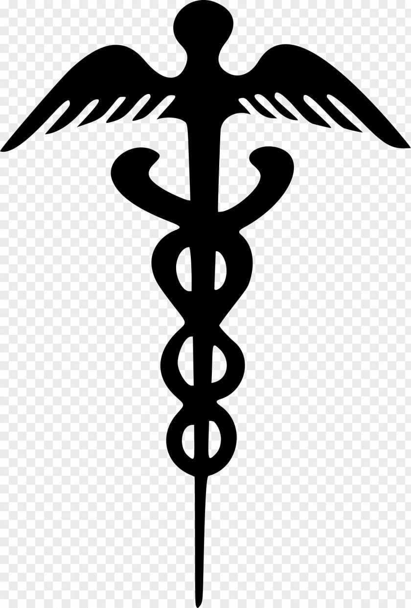 Caduceus Medical Symbol Firkin Clip Art PNG