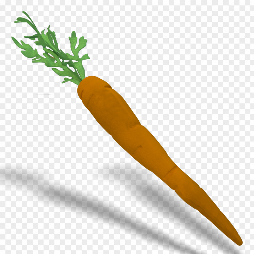 Carrot Blender Rendering Cycles Render PNG