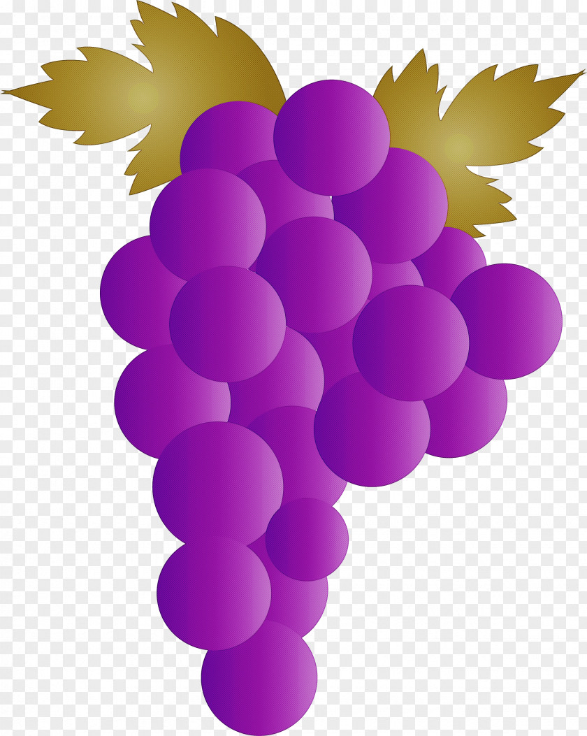 Grape Wine Zante Currant Juice Leaves PNG