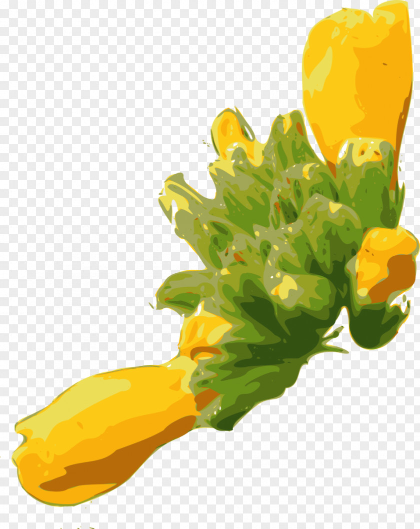 Plants Flower Download Clip Art PNG