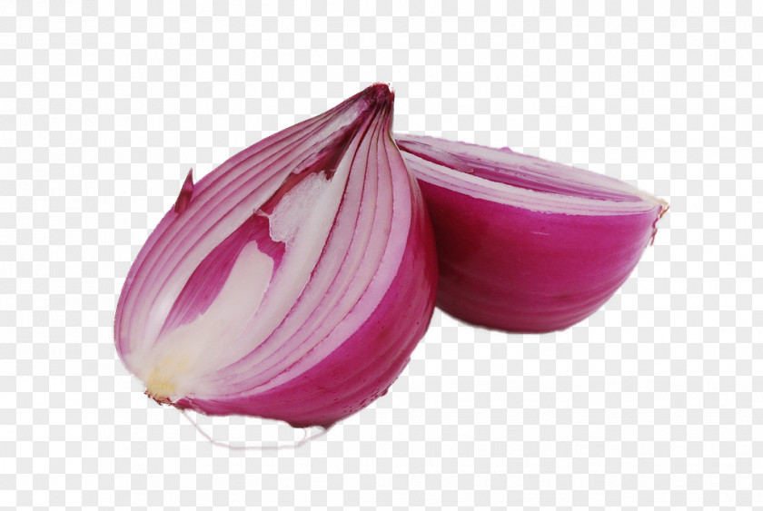 Sliced ​​onion Onion Allium Fistulosum Garlic Vegetable Food PNG