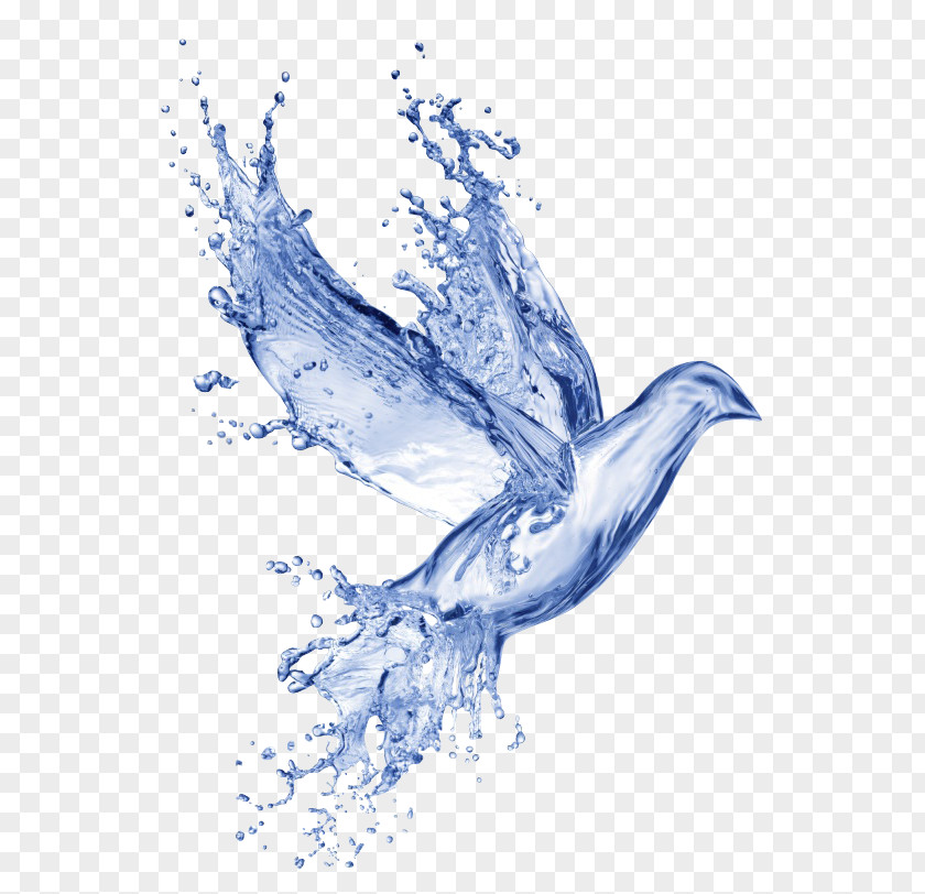Free Water Effects Dove Pull PNG water effects dove pull clipart PNG