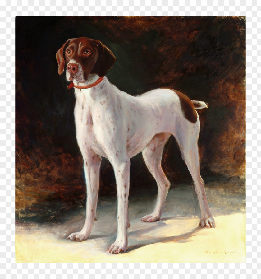 Painting Old Danish Pointer Braque Saint-Germain American Foxhound English PNG