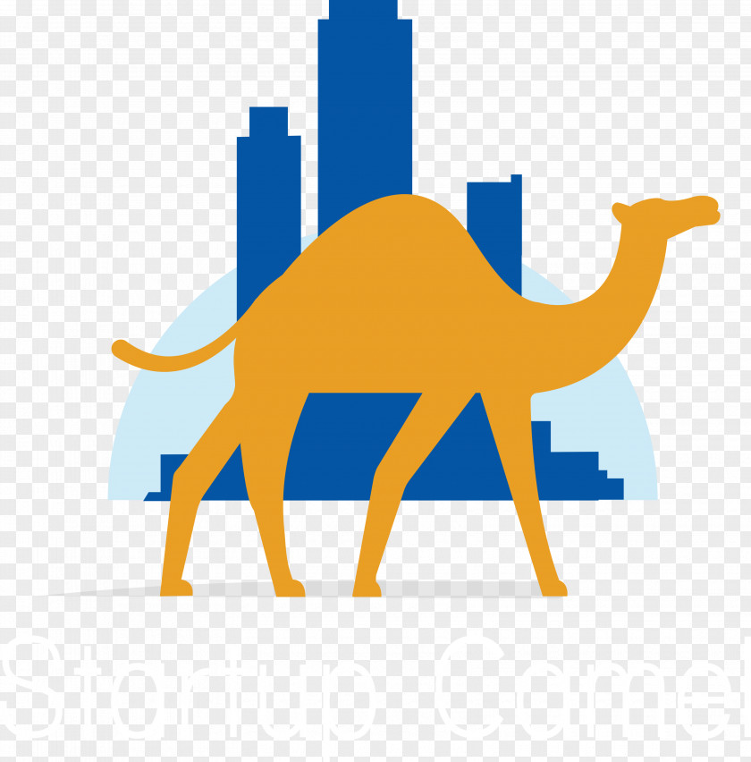 Camels Dromedary Bactrian Camel Startup Company Start-up Nation Silicon Valley PNG
