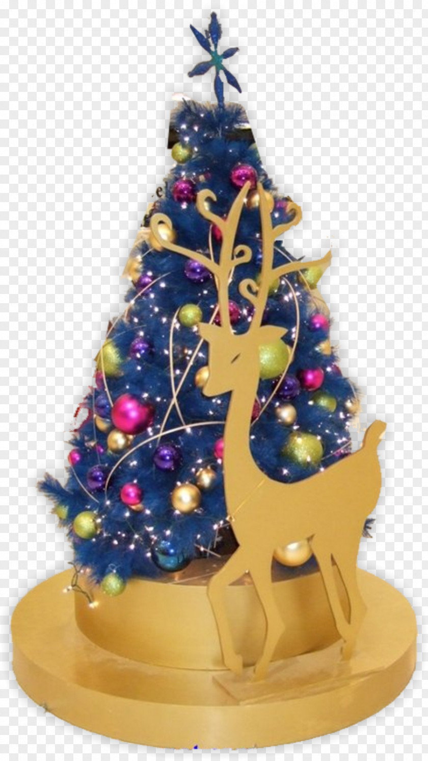 Christmas Tree Ornament Spruce Fir PNG