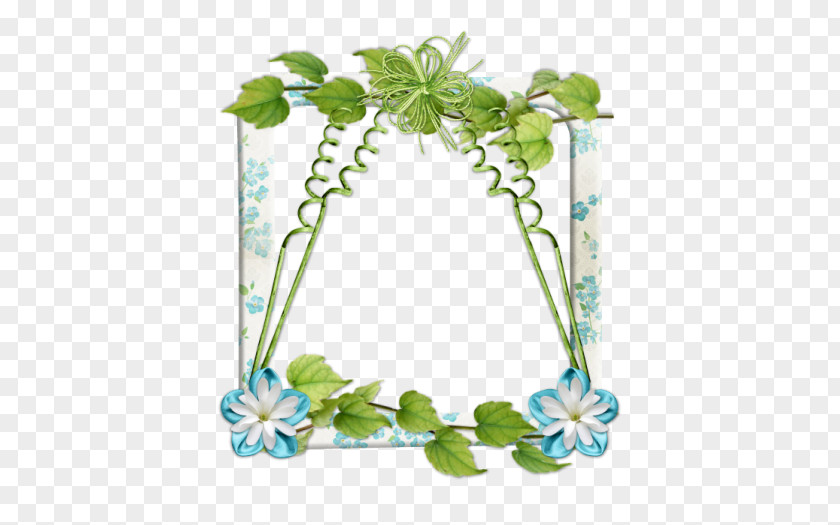 Cluster Frames Floral Design Leaf Flowerpot Plant Stem PNG