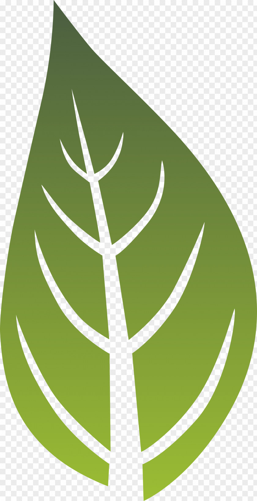 Nurture Life Logo Leaf Green Font PNG