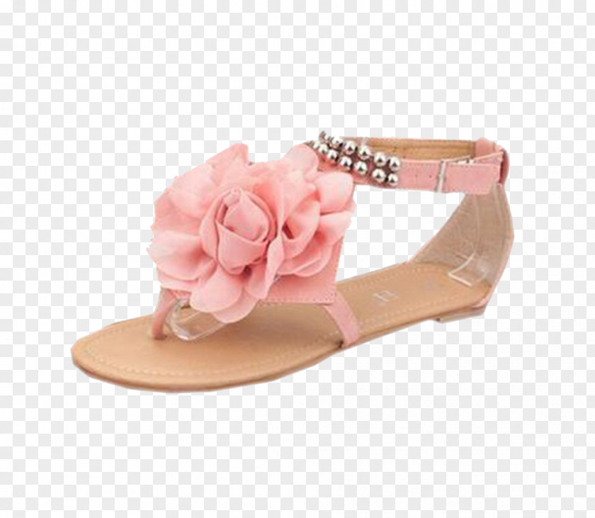 Pink Pearl Sandals Sandal Wedge Shoe Casual PNG