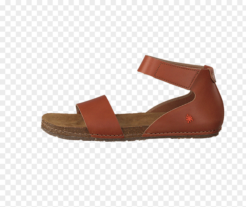 Sandal Slide Shoe Walking PNG