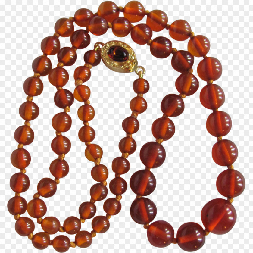 Amber Necklace Baltic Bead Jewellery PNG