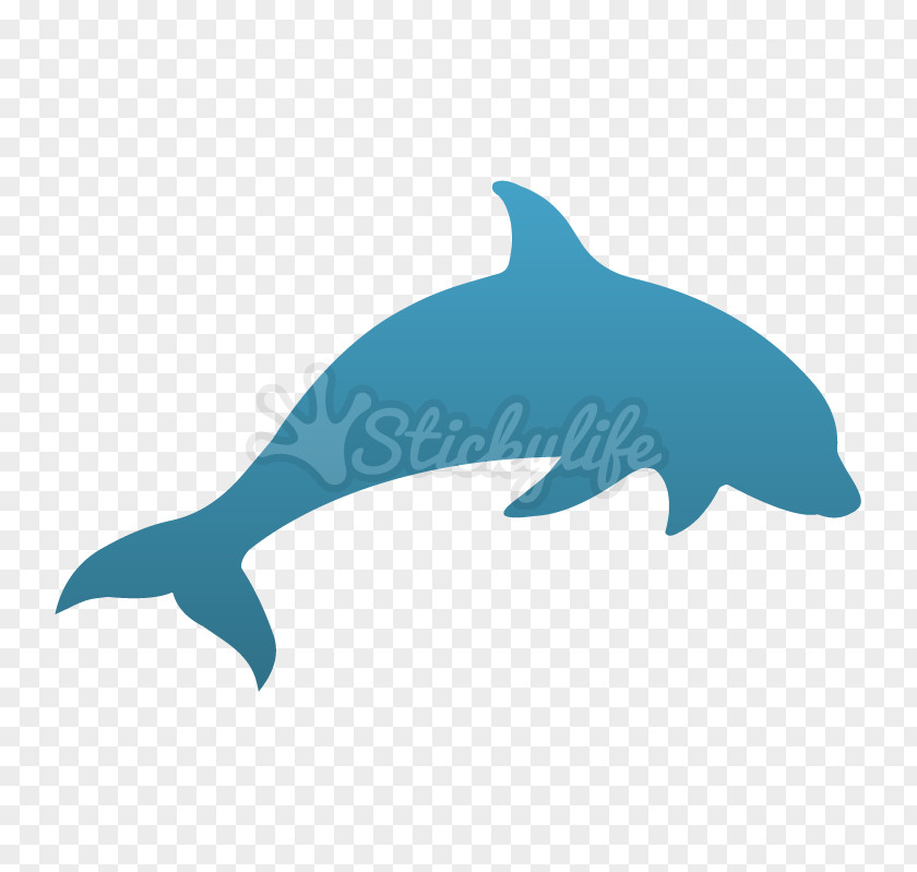 Dolphin Common Bottlenose Tucuxi Rough-toothed Marine Biology PNG