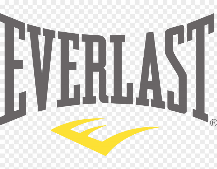 Everlast Boxing Logo Punching Ball / Everhide Speed Bag Original MMA Gloves PNG
