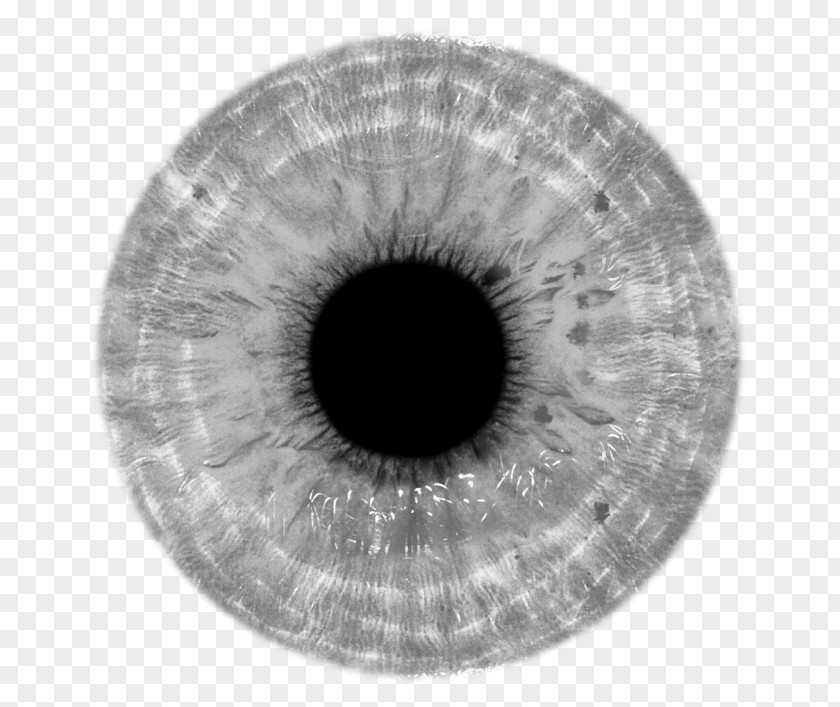 Eye Human Contact Lenses Iris PNG