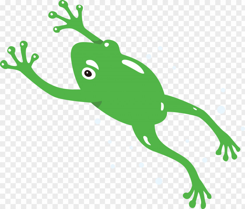Tree Frog Leaf Plant Stem Cartoon Toad PNG