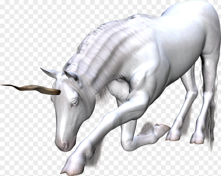 Unicorn White Dragon Horse PNG
