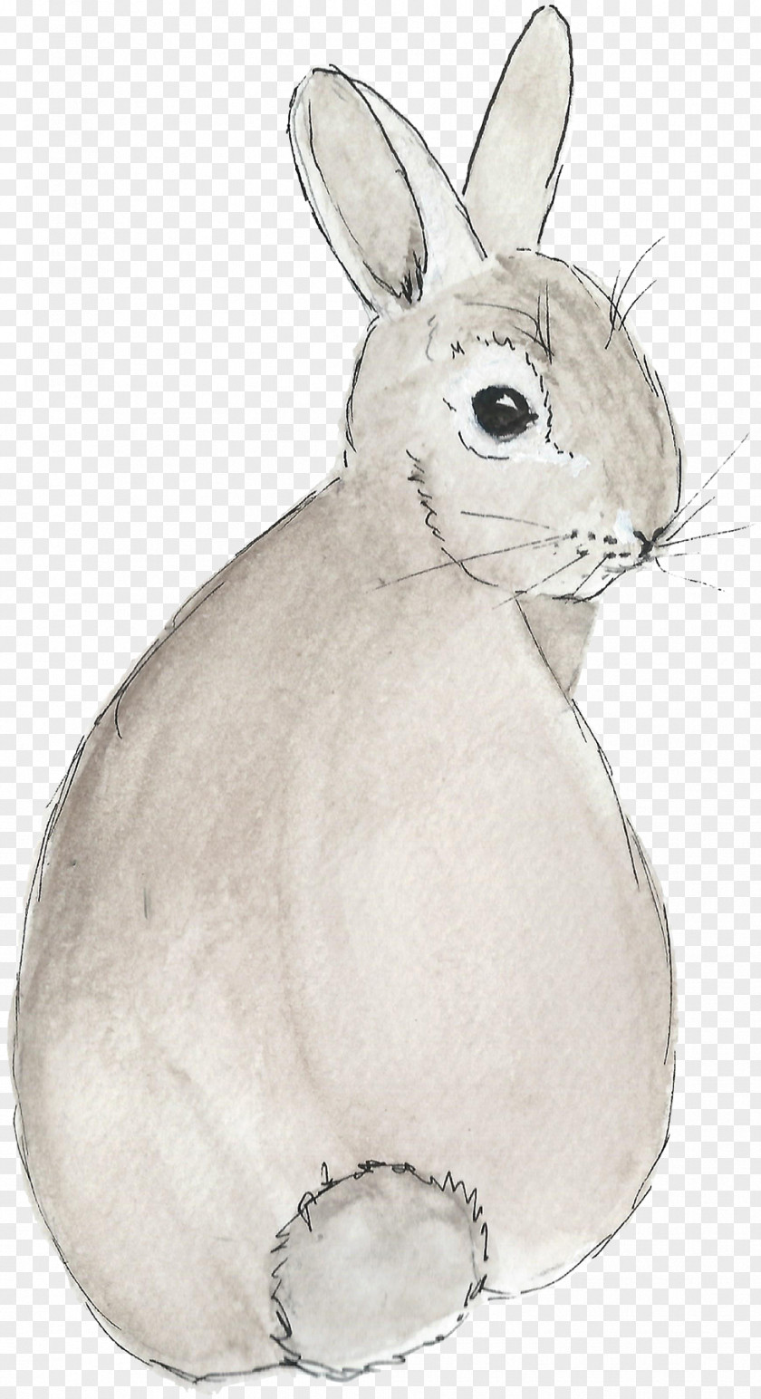 Watercolor Bunny Easter Domestic Rabbit Hare Vertebrate PNG