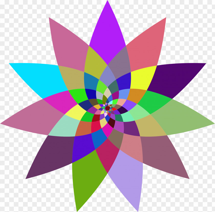 Abstract Flower Line Art Drawing Clip PNG