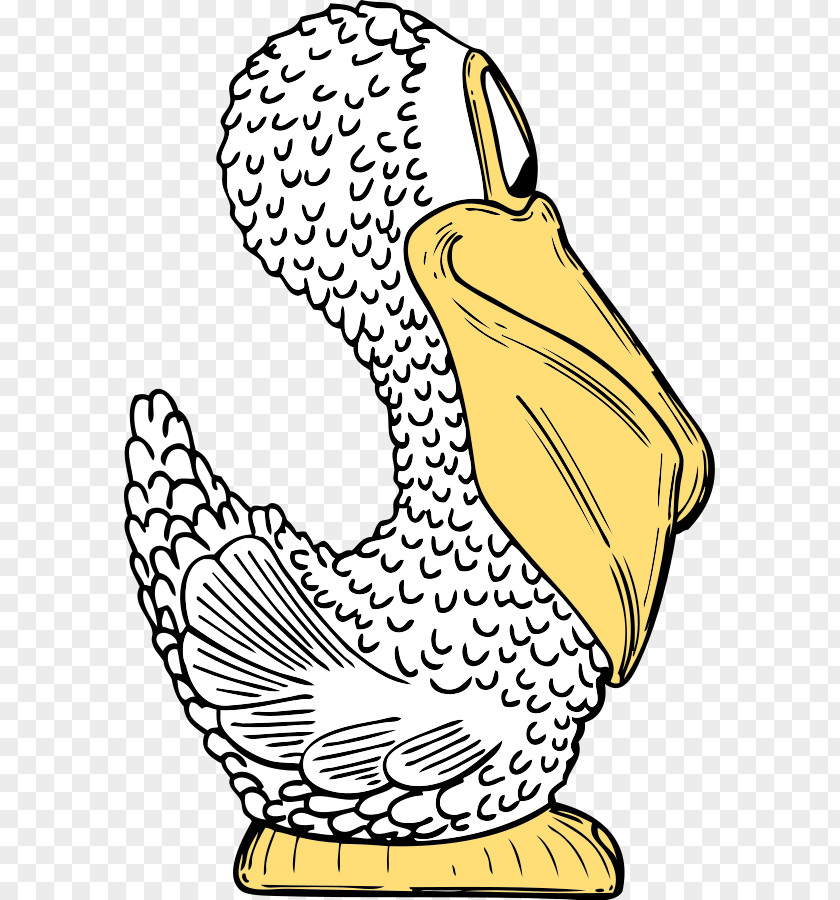 Cartoon Pelican Pictures Euclidean Vector Illustration PNG